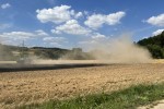 img 4947