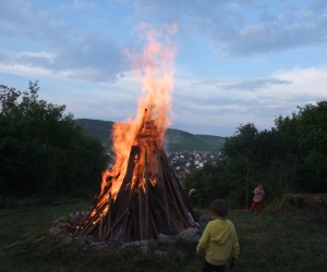 dscf0219