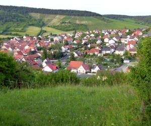 p1130533