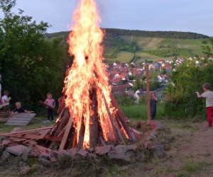 p1130694