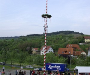 maibaum 2009