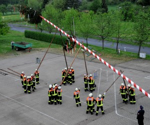 maibaum   