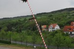 maibaum   