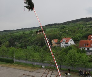 maibaum   