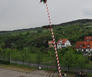 maibaum   