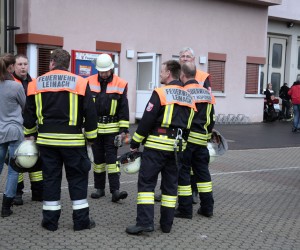 maibaum 2011 hgg