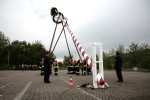 maibaum 2011 hgg