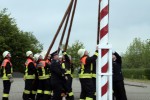 maibaum 2011 hgg