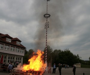 maibaum 2011 hgg