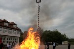 maibaum 2011 hgg