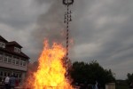 maibaum 2011 hgg