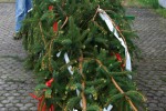 maibaum hd