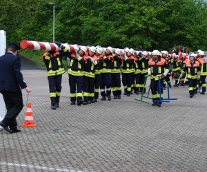 maibaum hd
