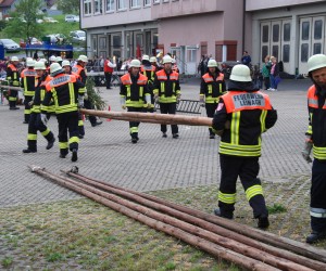maibaum hd