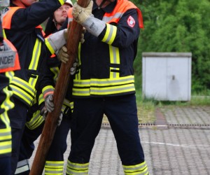 maibaum hd