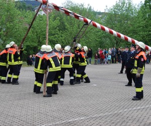 maibaum hd