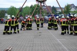 maibaum hd