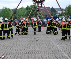 maibaum hd