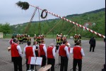 maibaum hd