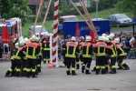 maibaum hd