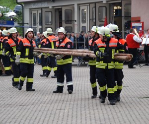 maibaum hd