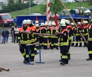 maibaum hd