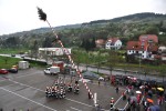 maibaum
