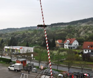 maibaum
