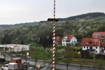 maibaum