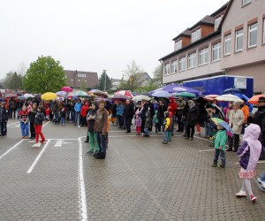 maibaum 2013