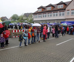maibaum 2013