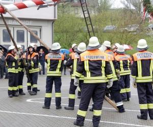 maibaum 2013