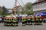 maibaum 2013