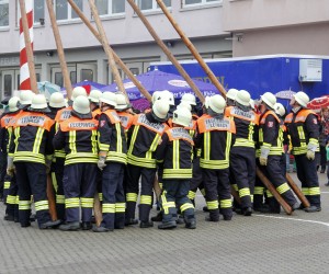 maibaum 2013