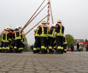 maibaum 2013