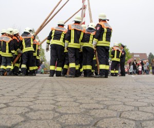 maibaum 2013