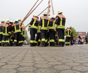 maibaum 2013