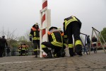 maibaum 2013
