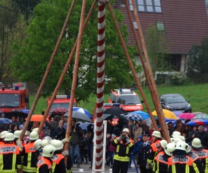 maibaum 2013