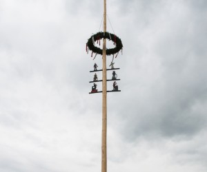 maibaum 2015   