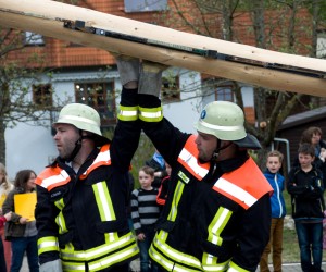 maibaum 2015   