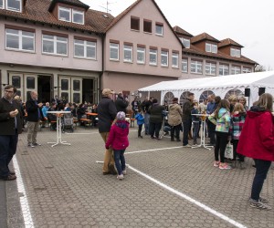 maibaum 2015