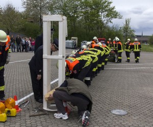 maibaum 2015