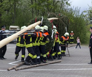 maibaum 2015