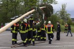 maibaum 2015