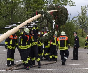 maibaum 2015