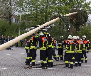 maibaum 2015