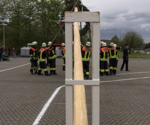 maibaum 2015
