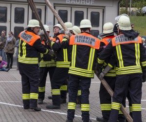 maibaum 2015