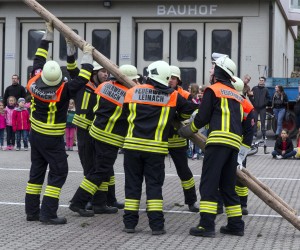 maibaum 2015